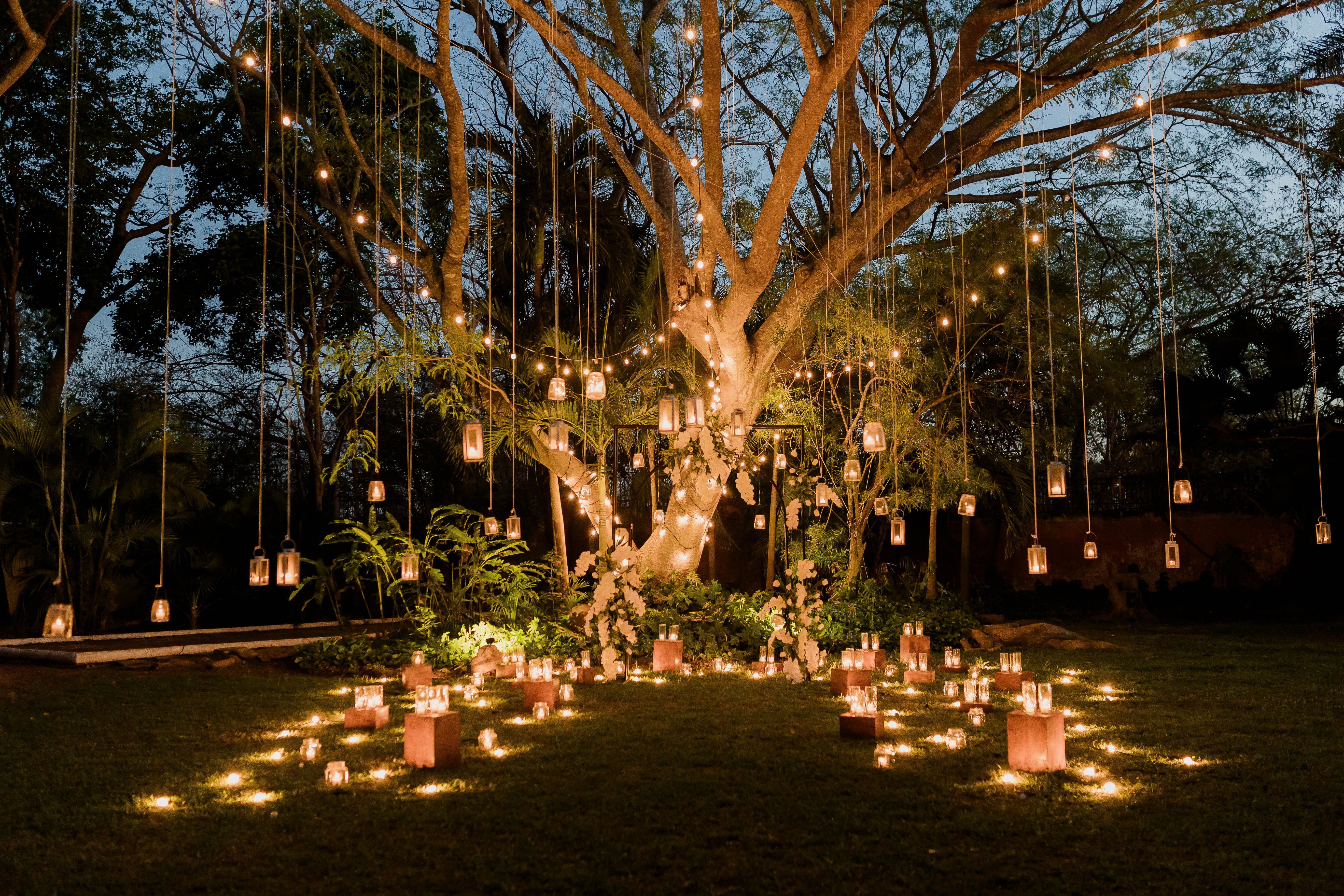 MNFD-pedida_Hacienda Xcanatun